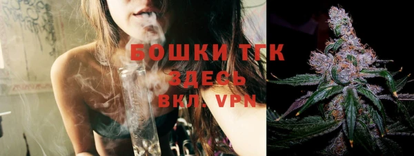 сатива Куйбышев