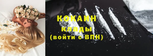 сатива Куйбышев