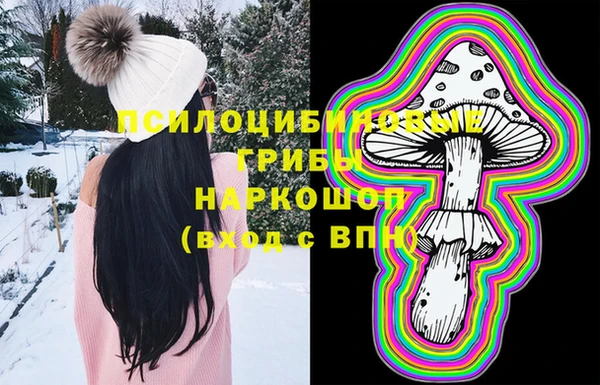сатива Куйбышев