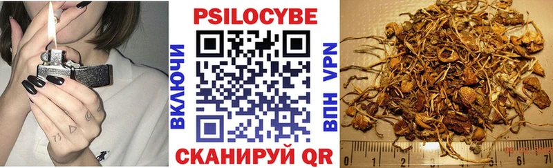Купить где  Бавлы  Псилоцибиновые грибы ЛСД 